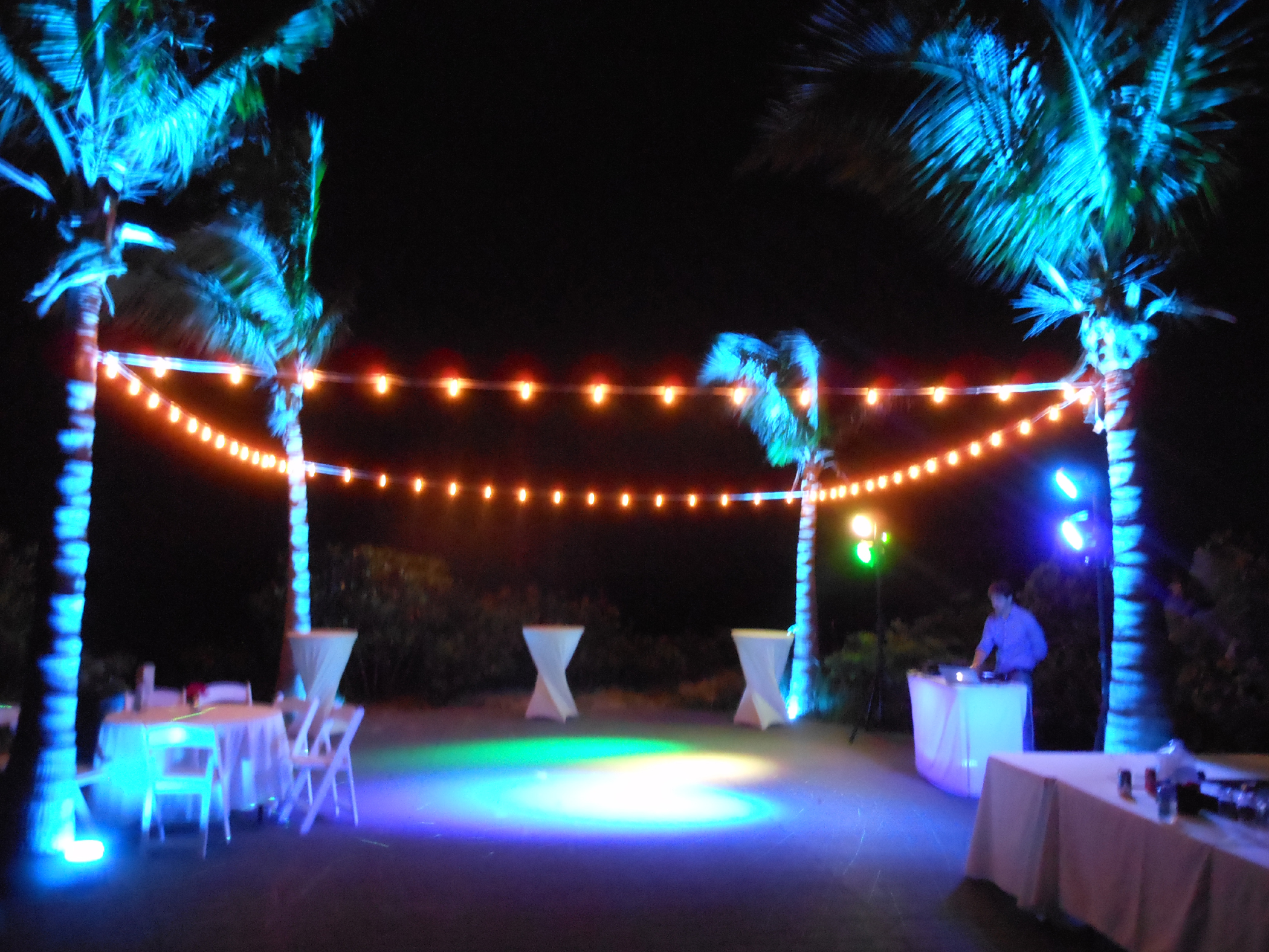 String lighting_ DJ lighting for private beach wedding